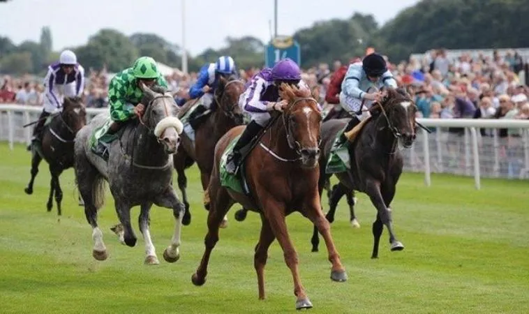 Mẹo cá cược Đua Ngựa Tại BET168VN tăng cơ hội thắng